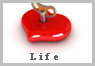 Life Insurance Quote